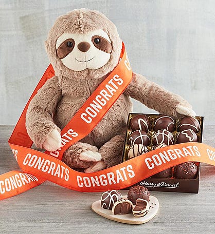 &#34;Congratulations&#34; Sloth Plush with Truffles